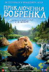 Постер фильма «Приключения бобренка»