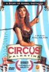 Постер фильма «Цирк Палестина»