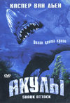 Постер фильма «Акулы»