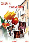 Постер фильма «Хлеб и тюльпаны»