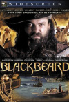 Постер фильма «Пираты семи морей: Черная борода»