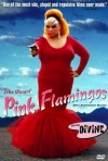 Постер фильма «Розовые фламинго»