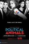 Постер фильма «Политиканы»