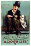 Постер фильма «Собачья жизнь»