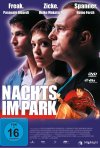Постер фильма «Ночью в парке»
