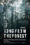 Постер фильма «Песни леса»