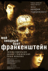 Постер фильма «Мой сводный брат Франкенштейн»
